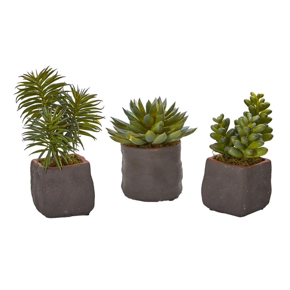 Mixed Succulent Trio Artificial Plant (Set of 3). Picture 1