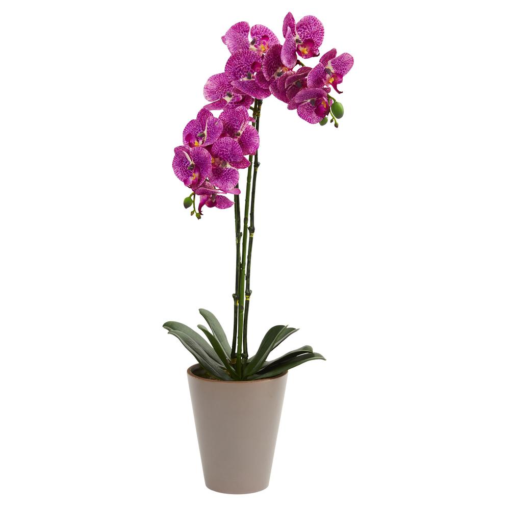 24in. Speckled Phalaenopsis Orchid Artificial Arrangement. Picture 1