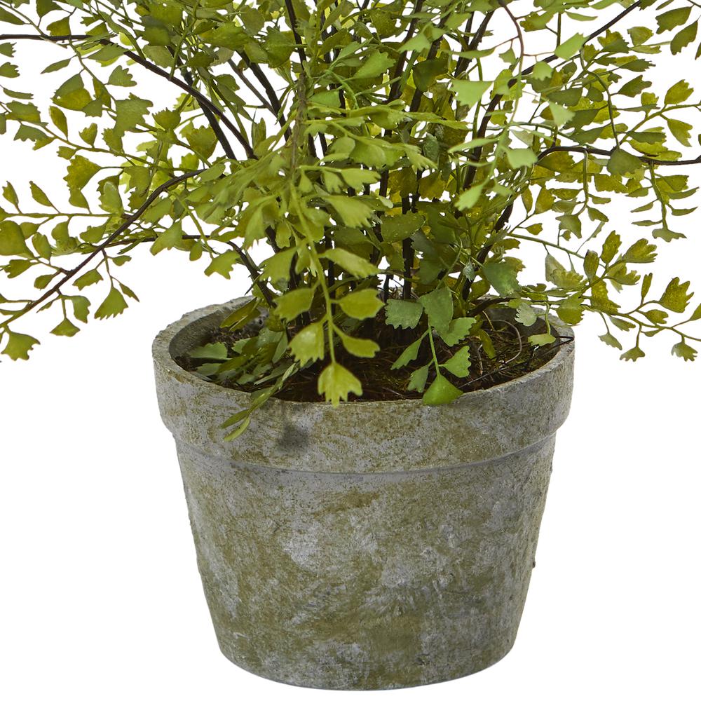 Maiden Hair Artificial Plant in Decorative Planter. Picture 3