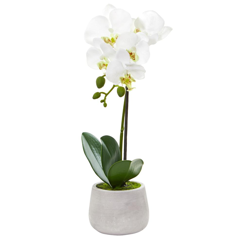 Phalaenopsis Orchid Artificial Arrangement (Set of 2). Picture 4