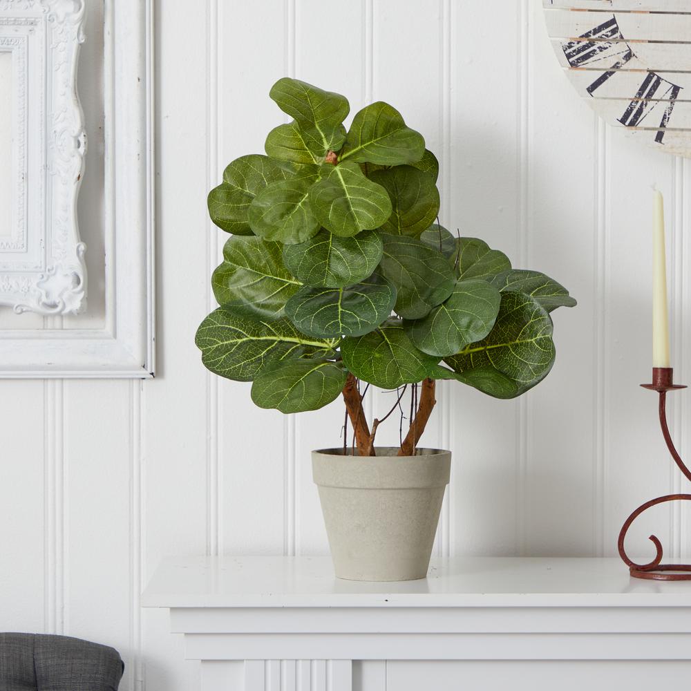 22in. Fiddle Leaf Artificial Plant. Picture 2