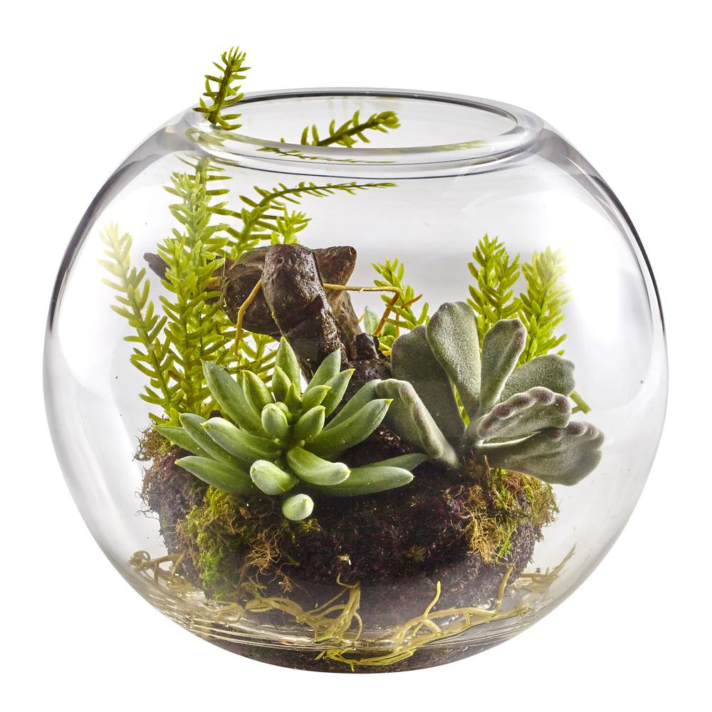 Mix Succulent Garden with Glass Vase. Picture 1