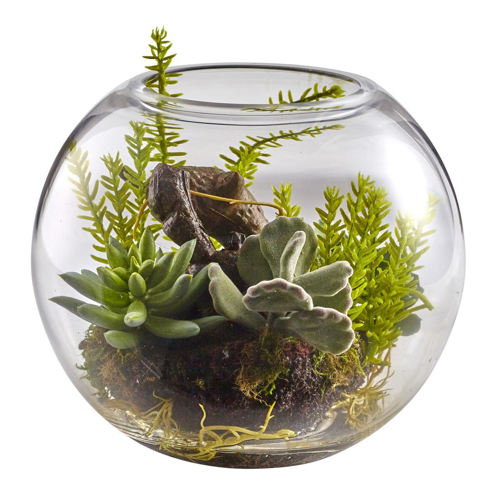 Mix Succulent Garden with Glass Vase. Picture 3