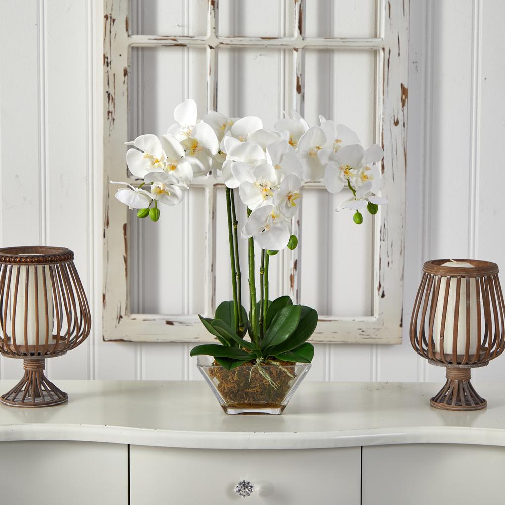 Triple Phalaenopsis Orchid in Glass Vase. Picture 4