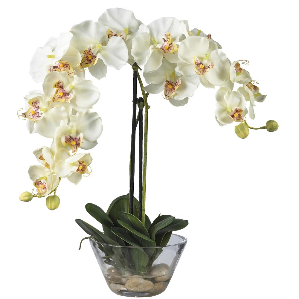 Phalaenopsis with Glass Vase Silk Flower Arrangement. Picture 1