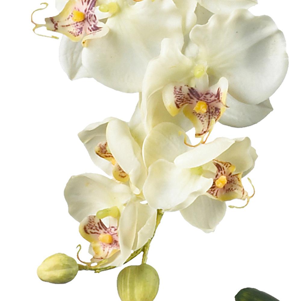 Phalaenopsis with Glass Vase Silk Flower Arrangement. Picture 5