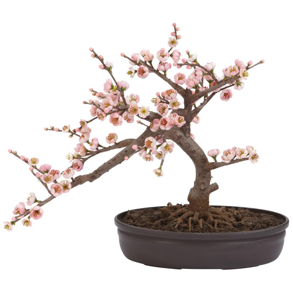 Cherry Blossom Bonsai Silk Tree. Picture 1