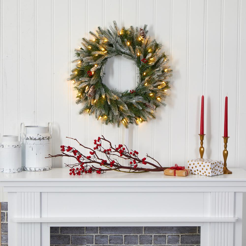 24in. Snowed Artificial Christmas Wreath with 50 Warm White LED Lights and Pine Cones. Picture 4