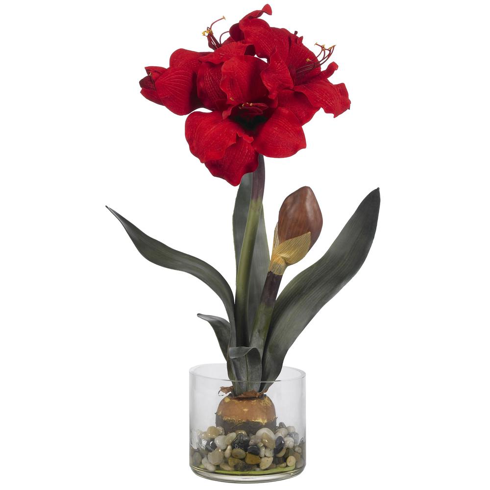 Amaryllis with Round Vase. Picture 1