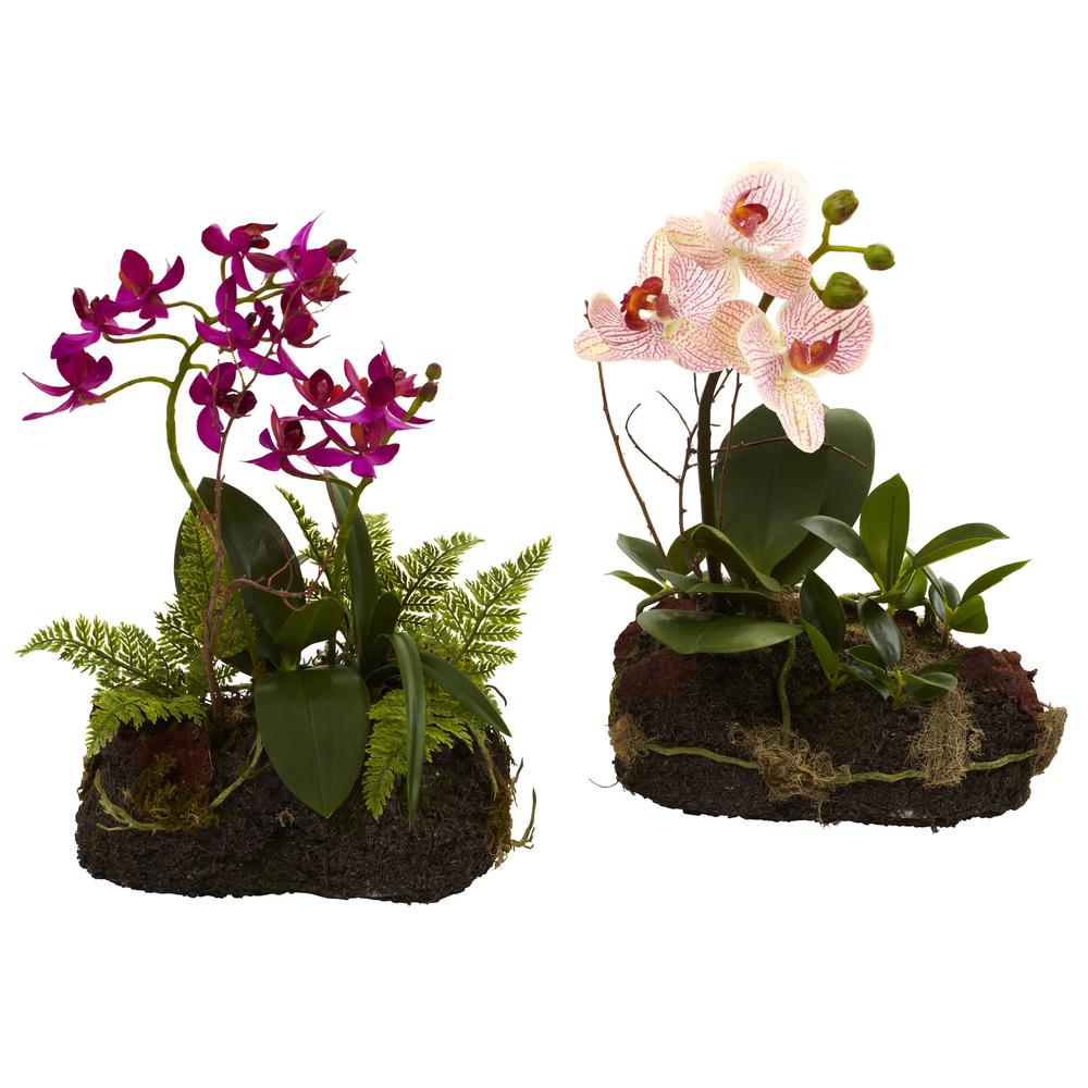 Orchid Island (Set of 2). Picture 1