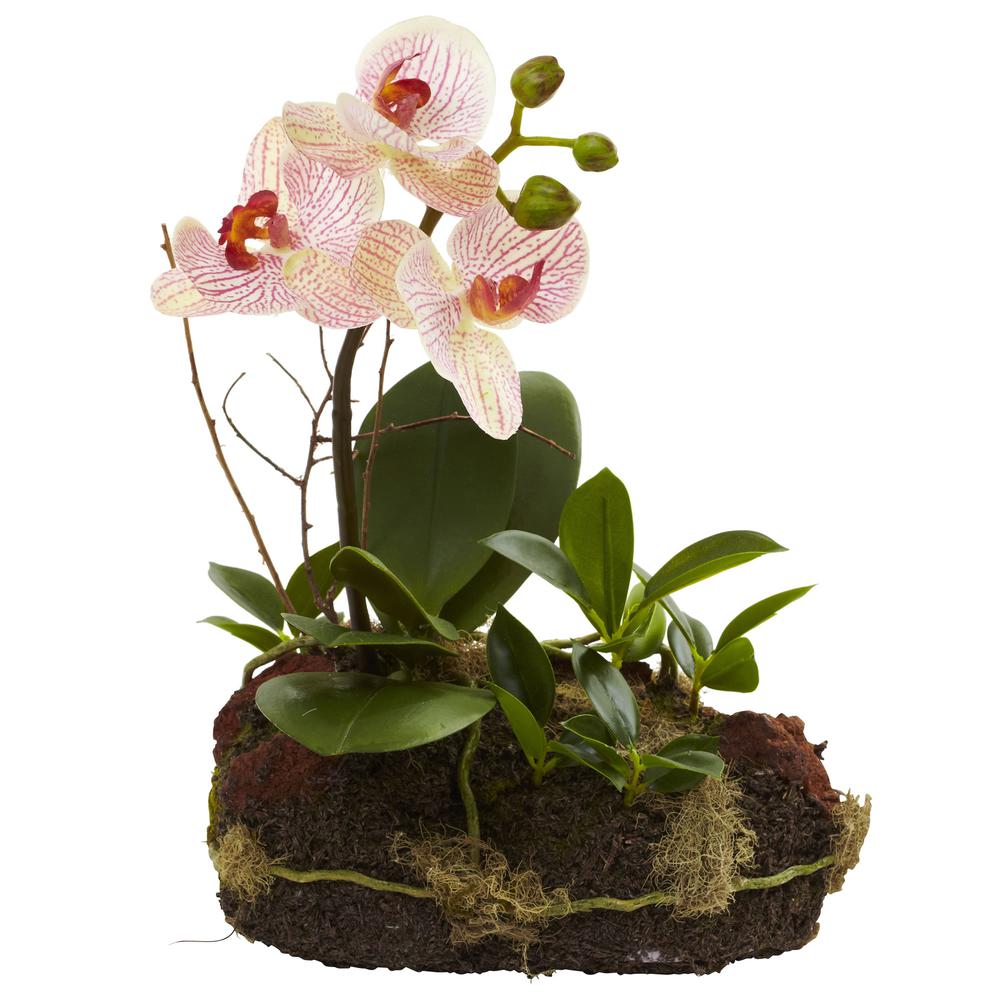 Orchid Island (Set of 2). Picture 3