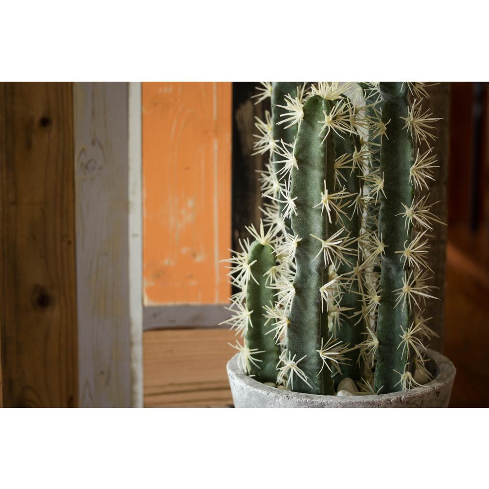 Decorative Cactus Garden with Cement Planter. Picture 8