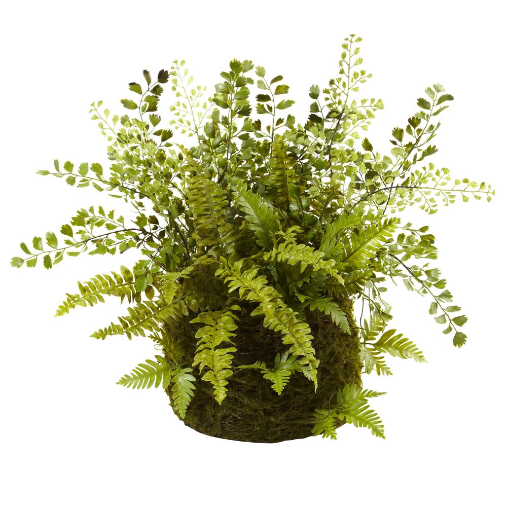 Mixed Fern with Twig and Moss Basket. Picture 1