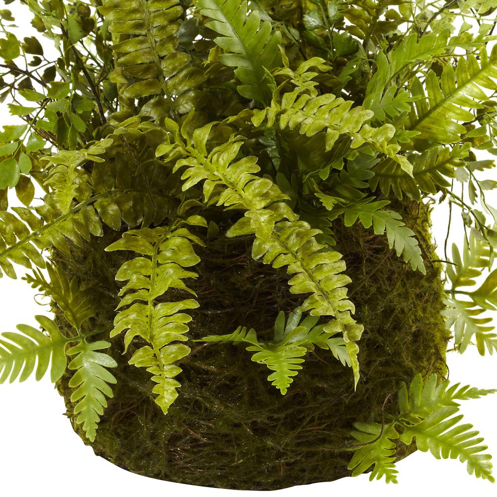 Mixed Fern with Twig and Moss Basket. Picture 5