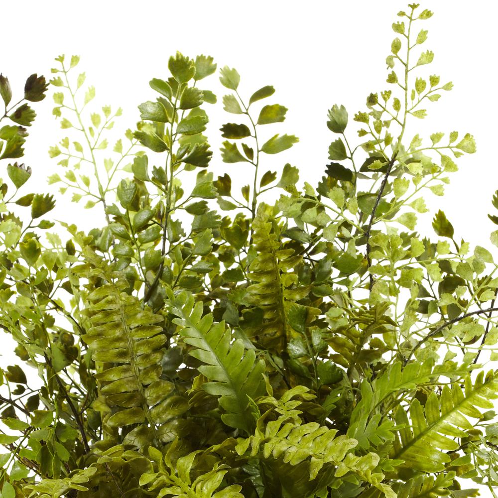 Mixed Fern with Twig and Moss Basket. Picture 4