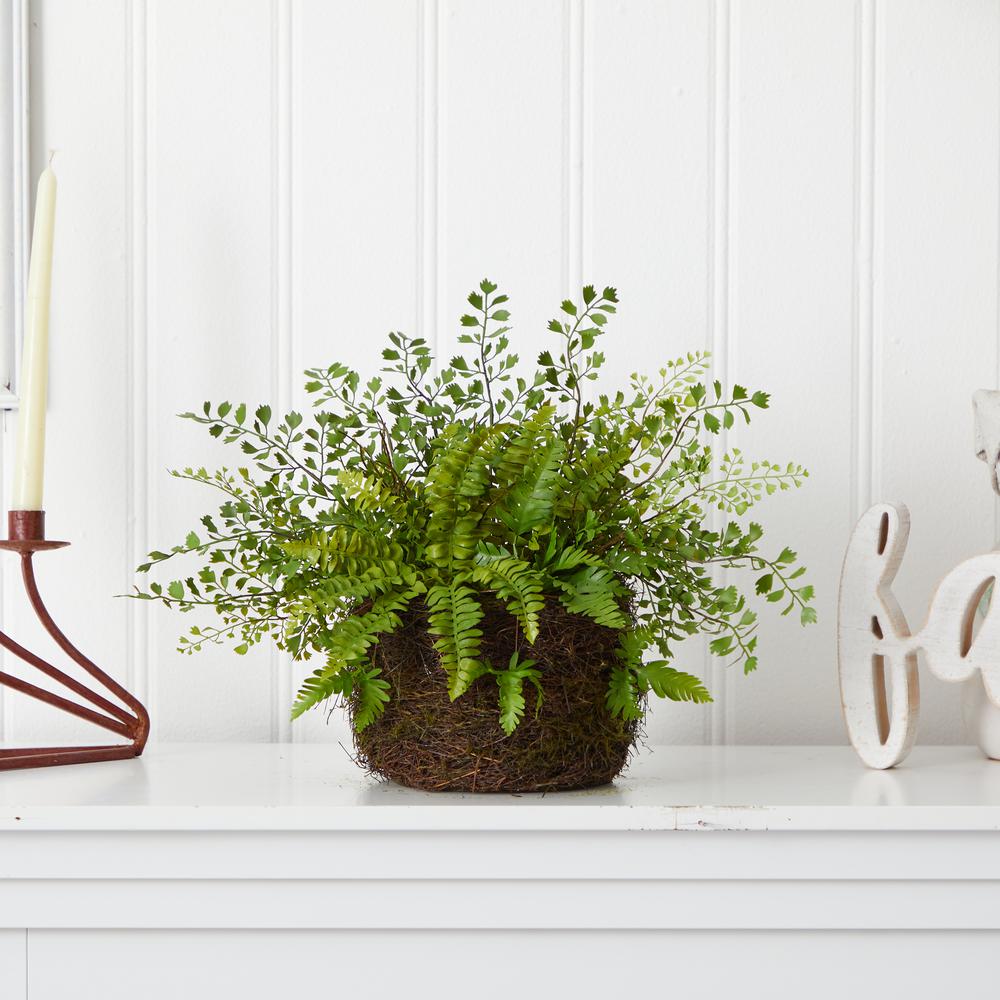 Mixed Fern with Twig and Moss Basket. Picture 3
