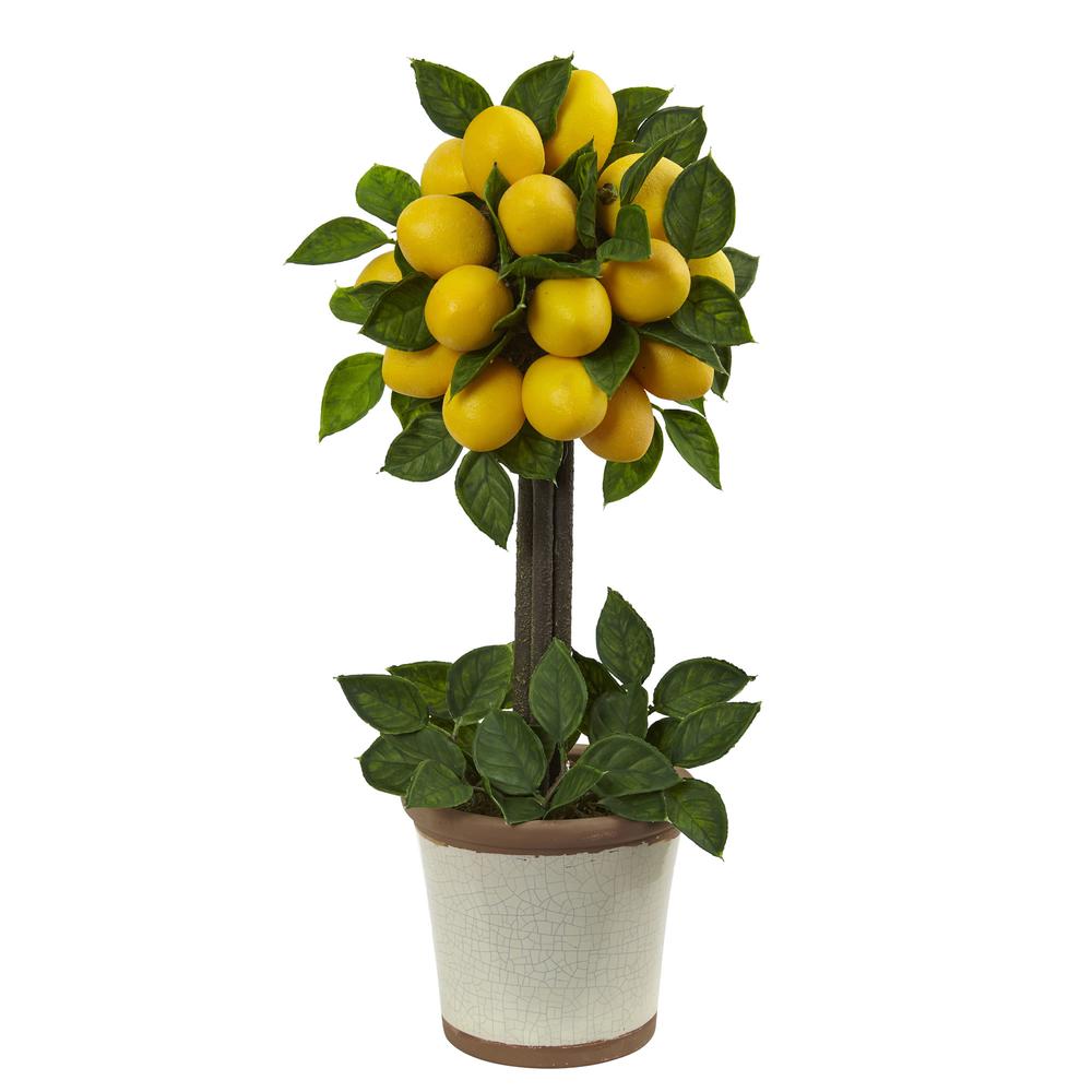 Lemon Ball Topiary Arrangement. Picture 6