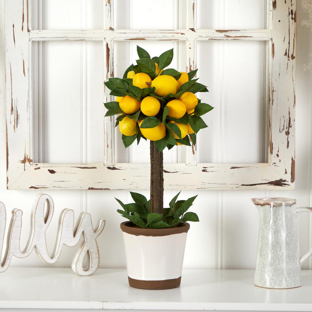 Lemon Ball Topiary Arrangement. Picture 5