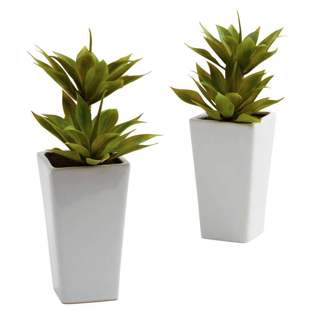 Double Mini Agave with Planter (Set of 2). Picture 1