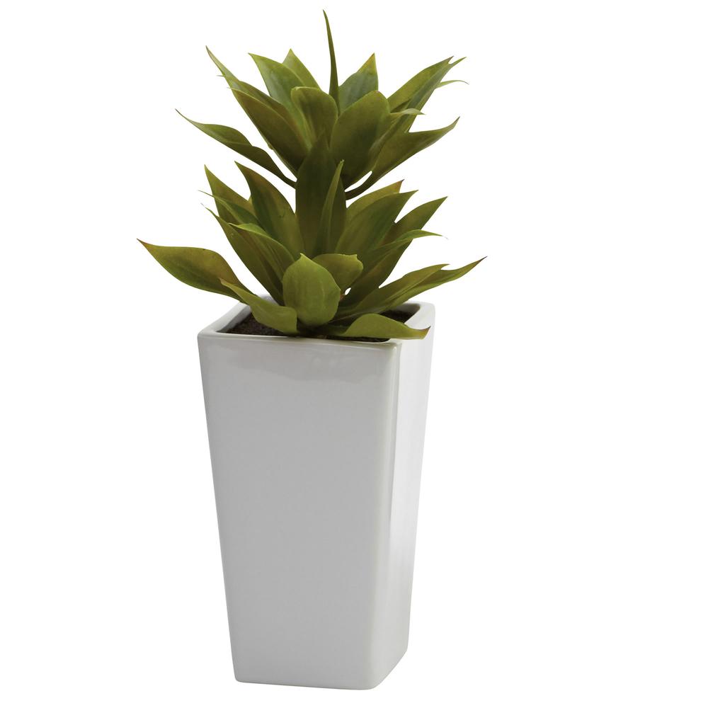 Double Mini Agave with Planter (Set of 2). Picture 2
