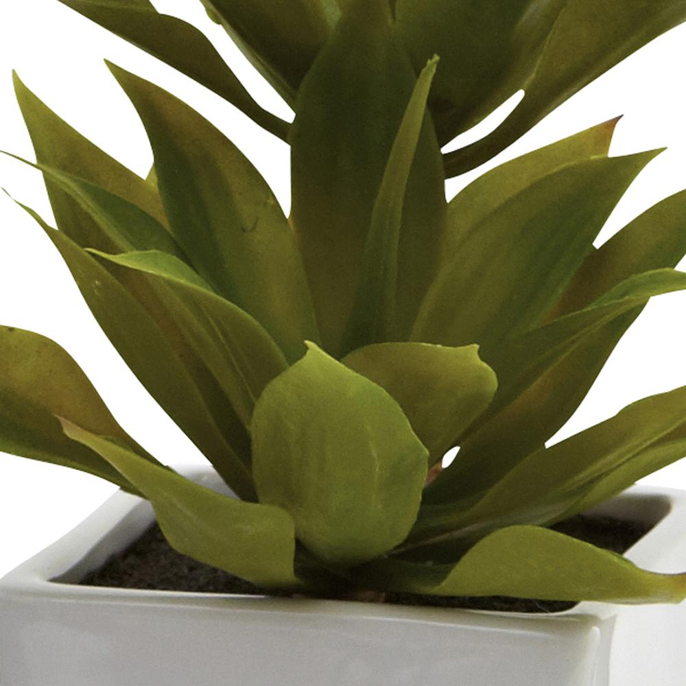 Double Mini Agave with Planter (Set of 2). Picture 3