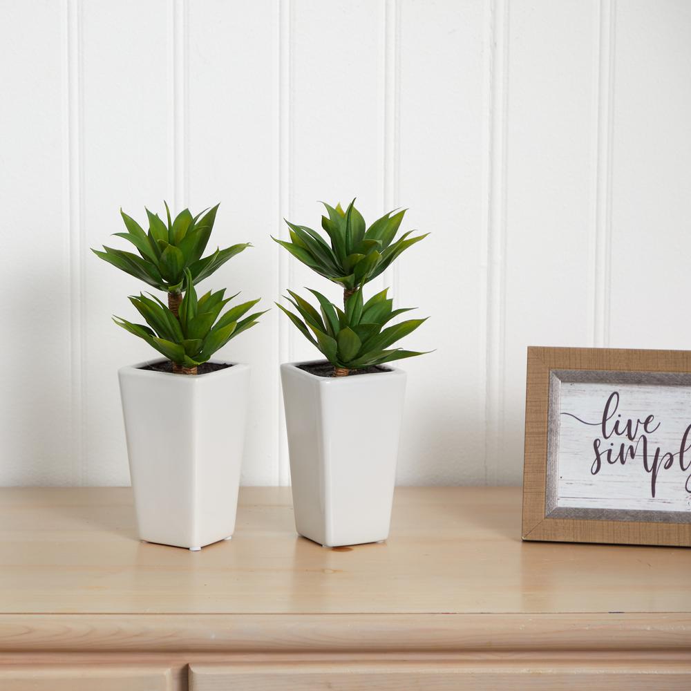 Double Mini Agave with Planter (Set of 2). Picture 5