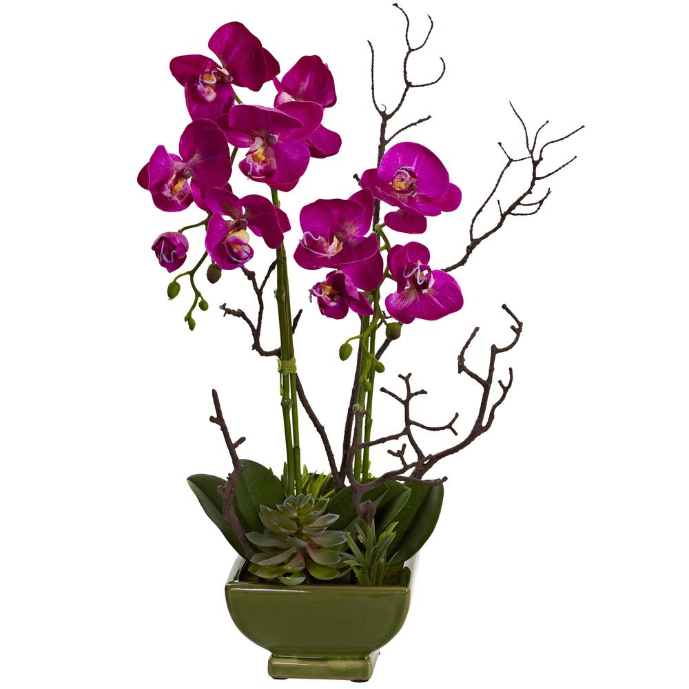 Orchid & Succulent Floral Arrangement. Picture 1