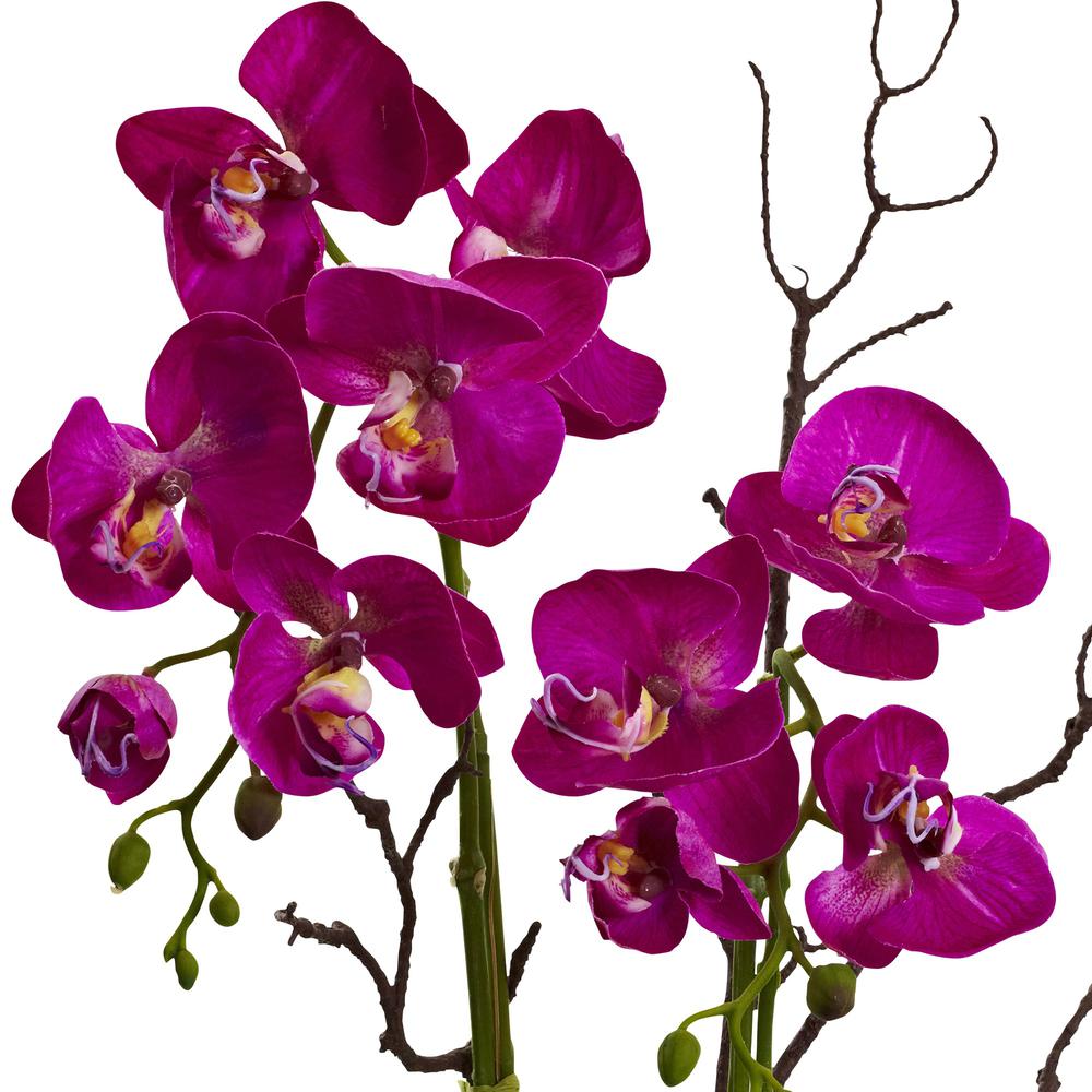 Orchid & Succulent Floral Arrangement. Picture 2