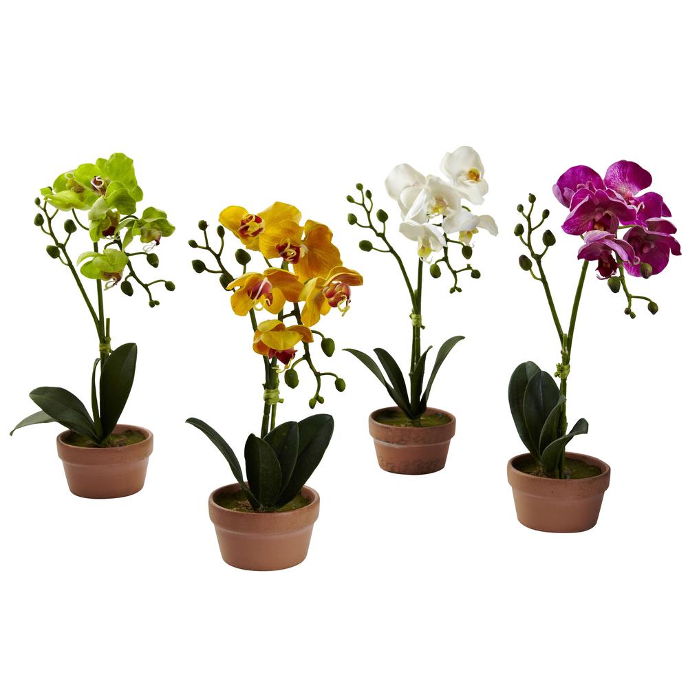 Phalaenopsis Orchid with Clay Vase (Set of 4). Picture 1