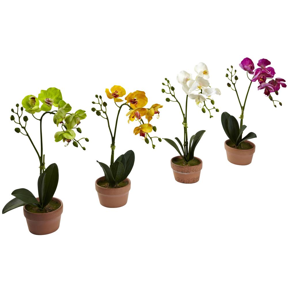 Phalaenopsis Orchid with Clay Vase (Set of 4). Picture 3