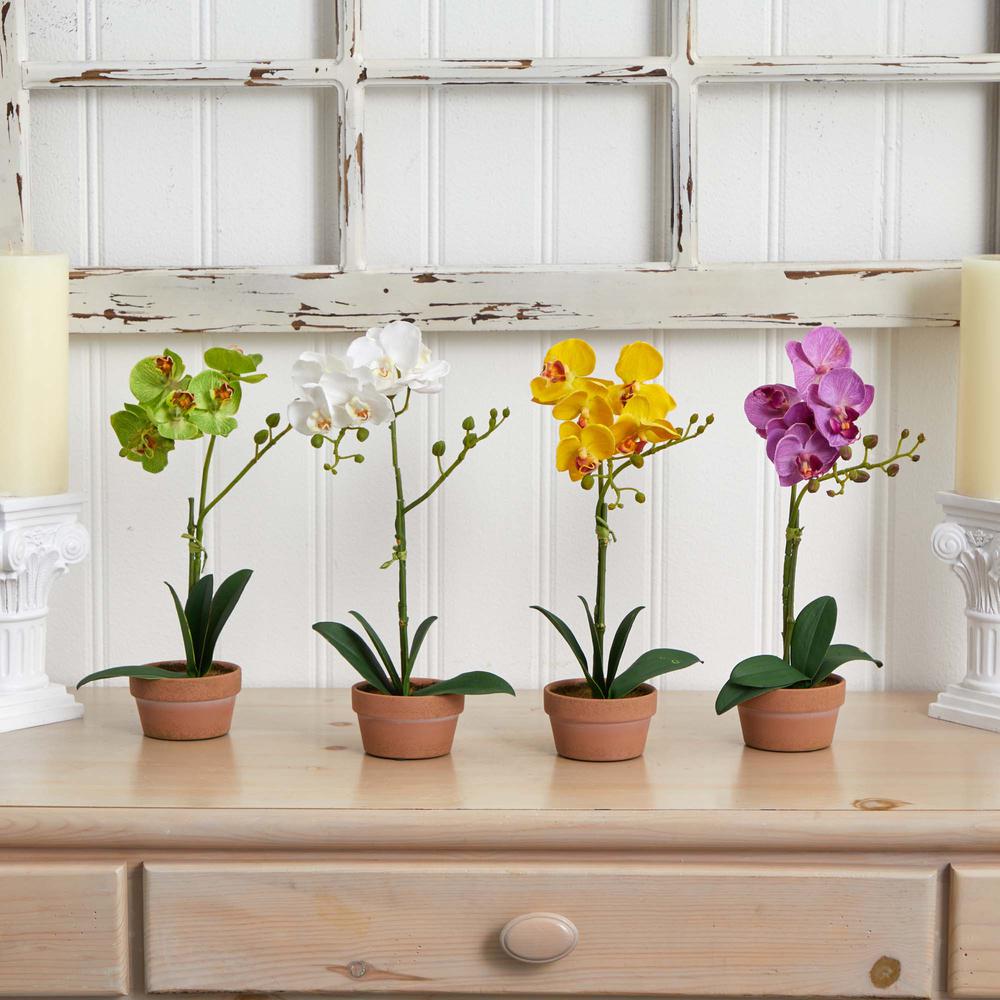 Phalaenopsis Orchid with Clay Vase (Set of 4). Picture 4