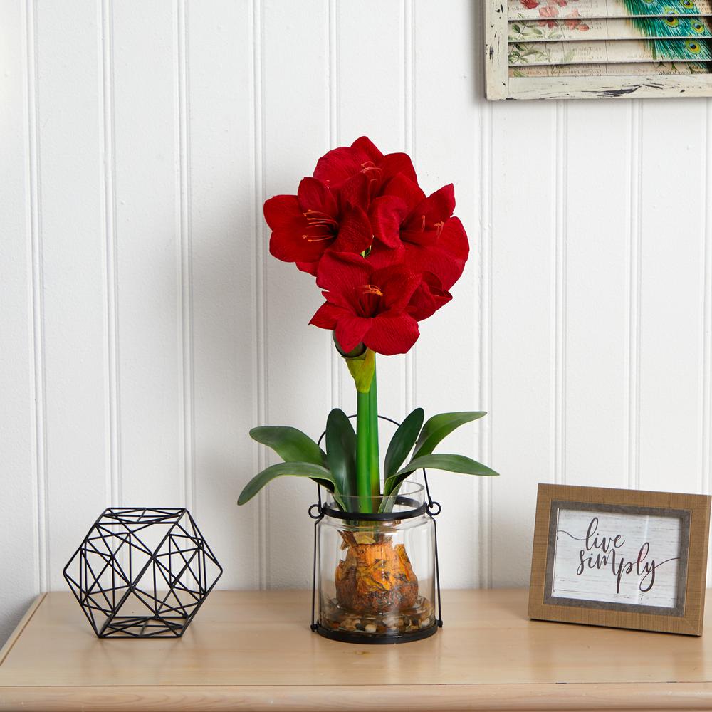 24in. Amaryllis with Vase. Picture 4