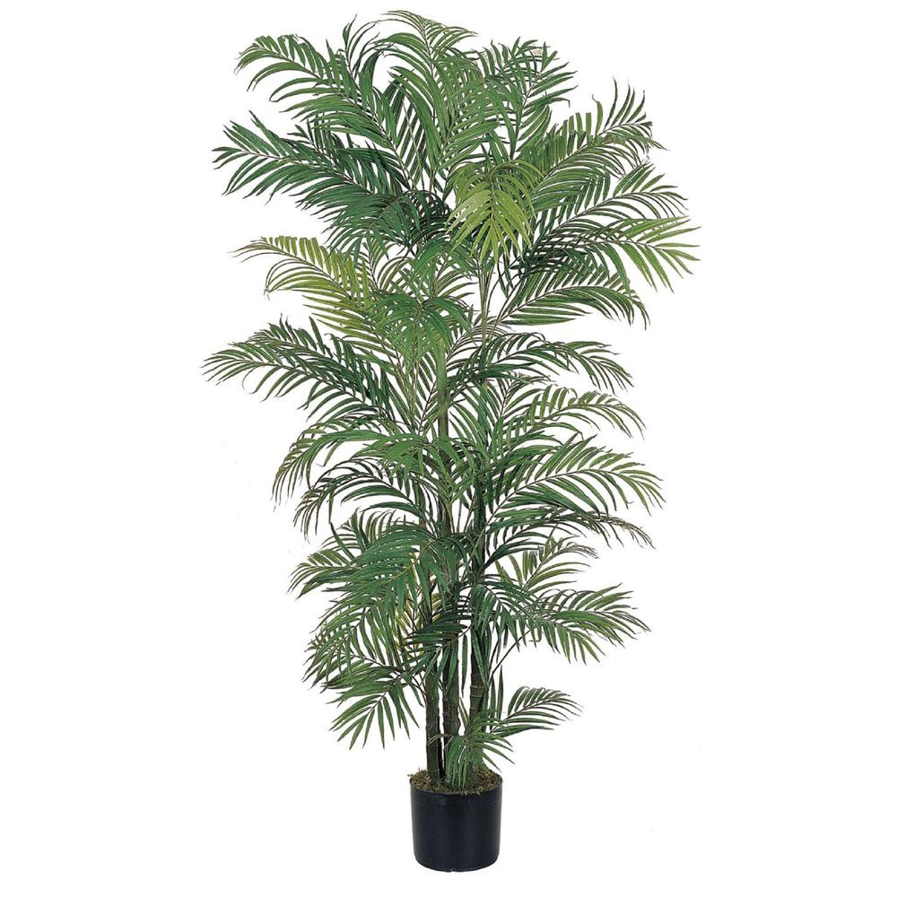 6ft. Areca Silk Palm Tree. Picture 1