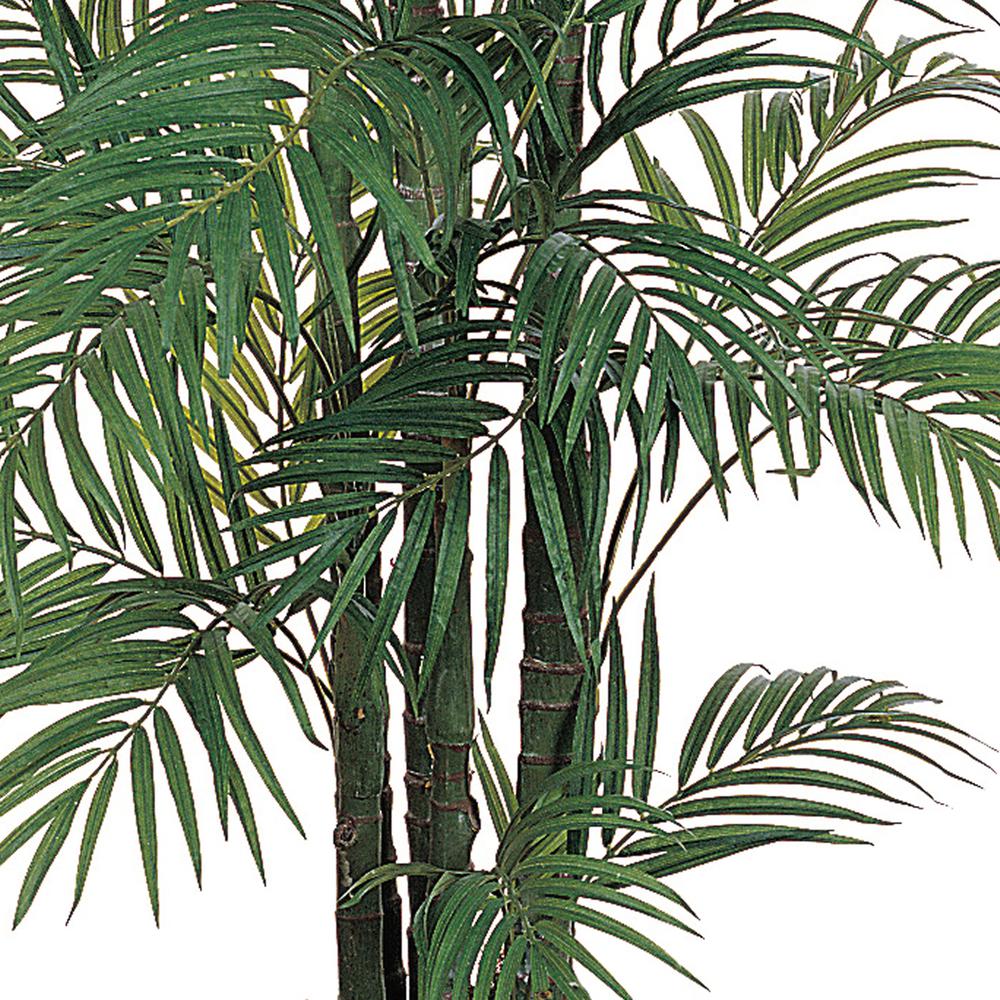 6ft. Areca Silk Palm Tree. Picture 4