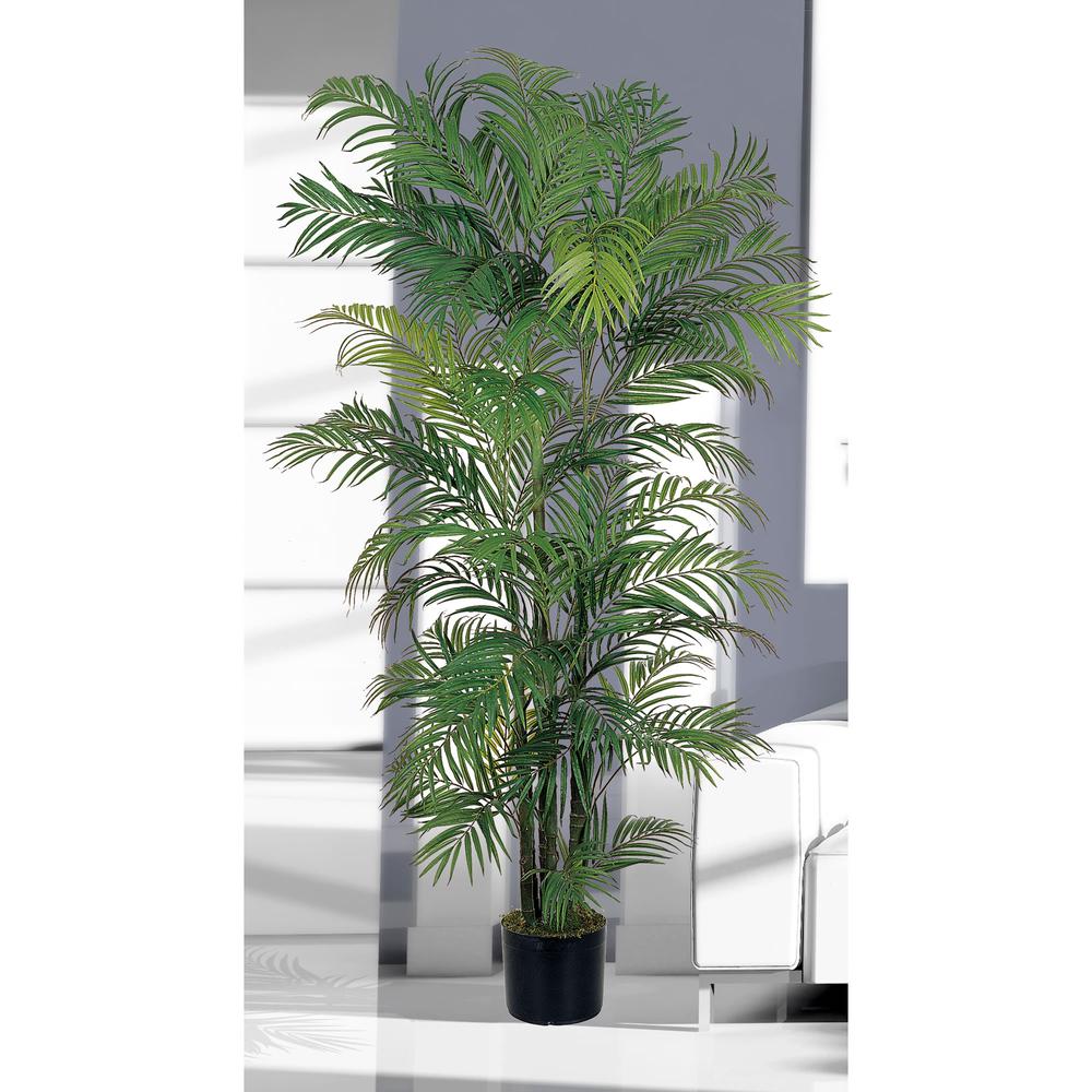 6ft. Areca Silk Palm Tree. Picture 9