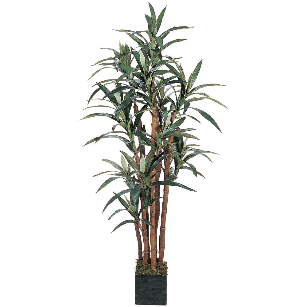 5ft. Yucca Silk Tree. Picture 1
