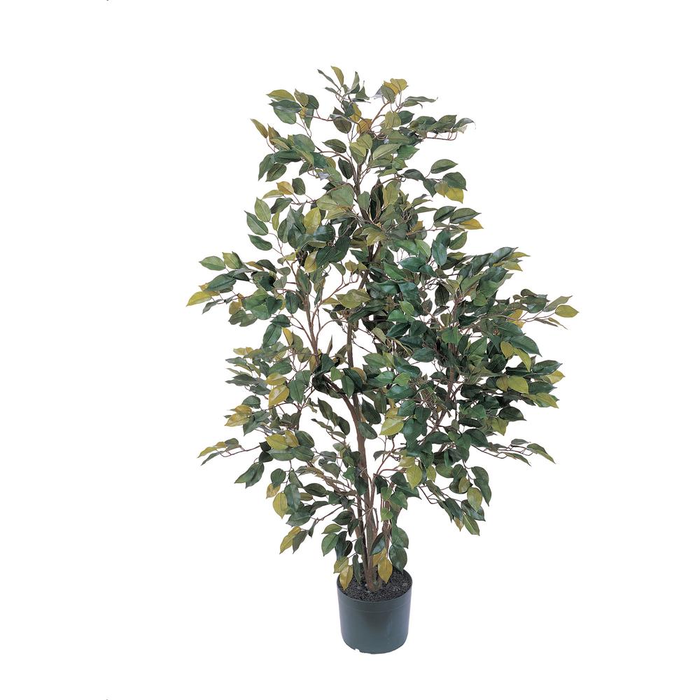 4ft. Ficus Silk Tree Green. Picture 1