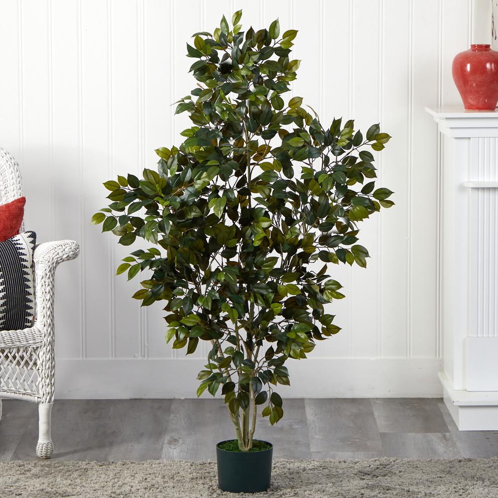 4ft. Ficus Silk Tree Green. Picture 3