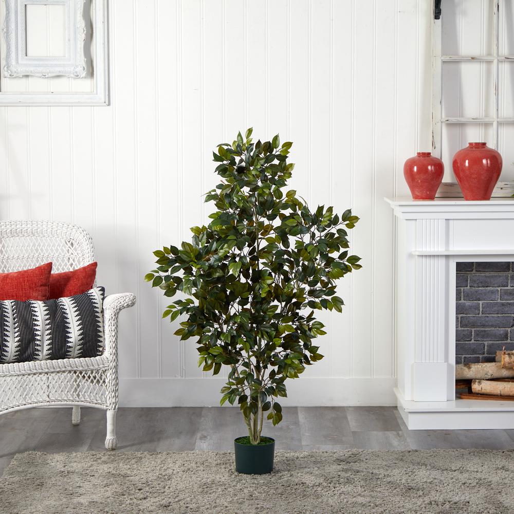 4ft. Ficus Silk Tree Green. Picture 4