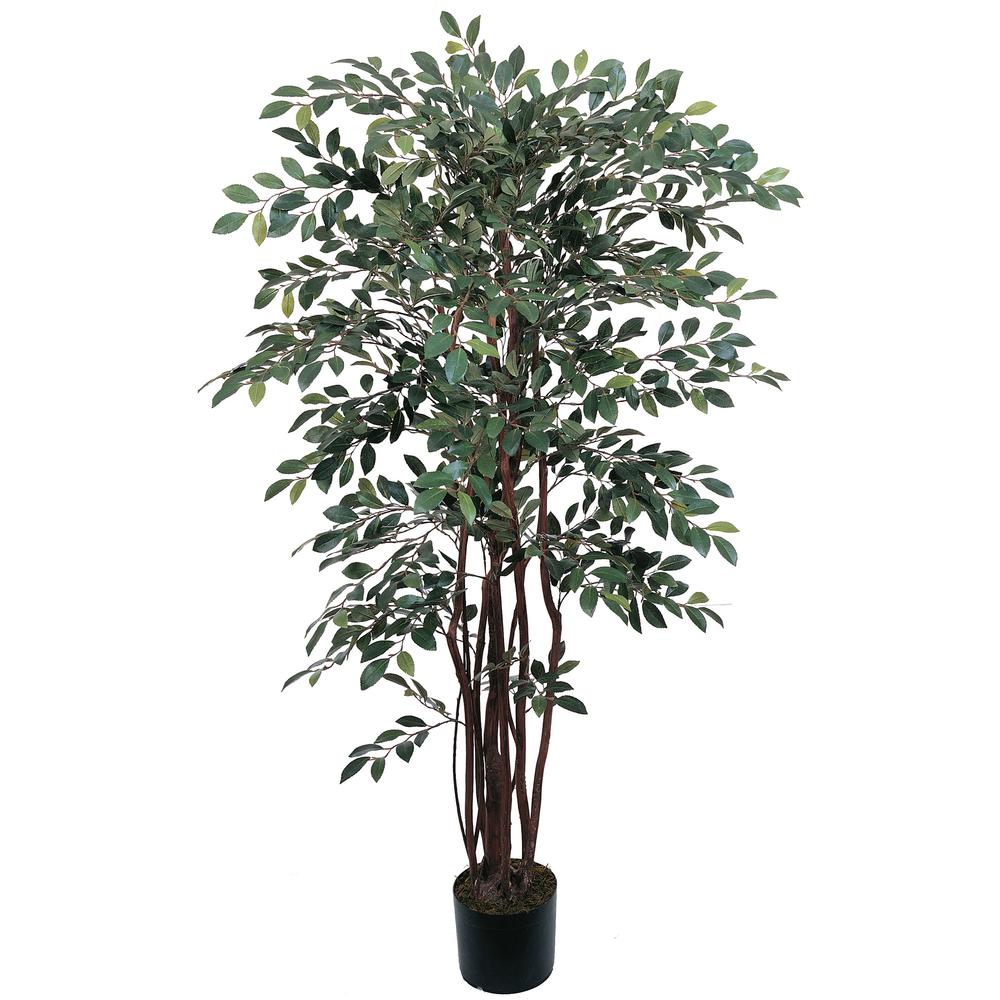 4ft. Ruscus Silk Tree. Picture 1