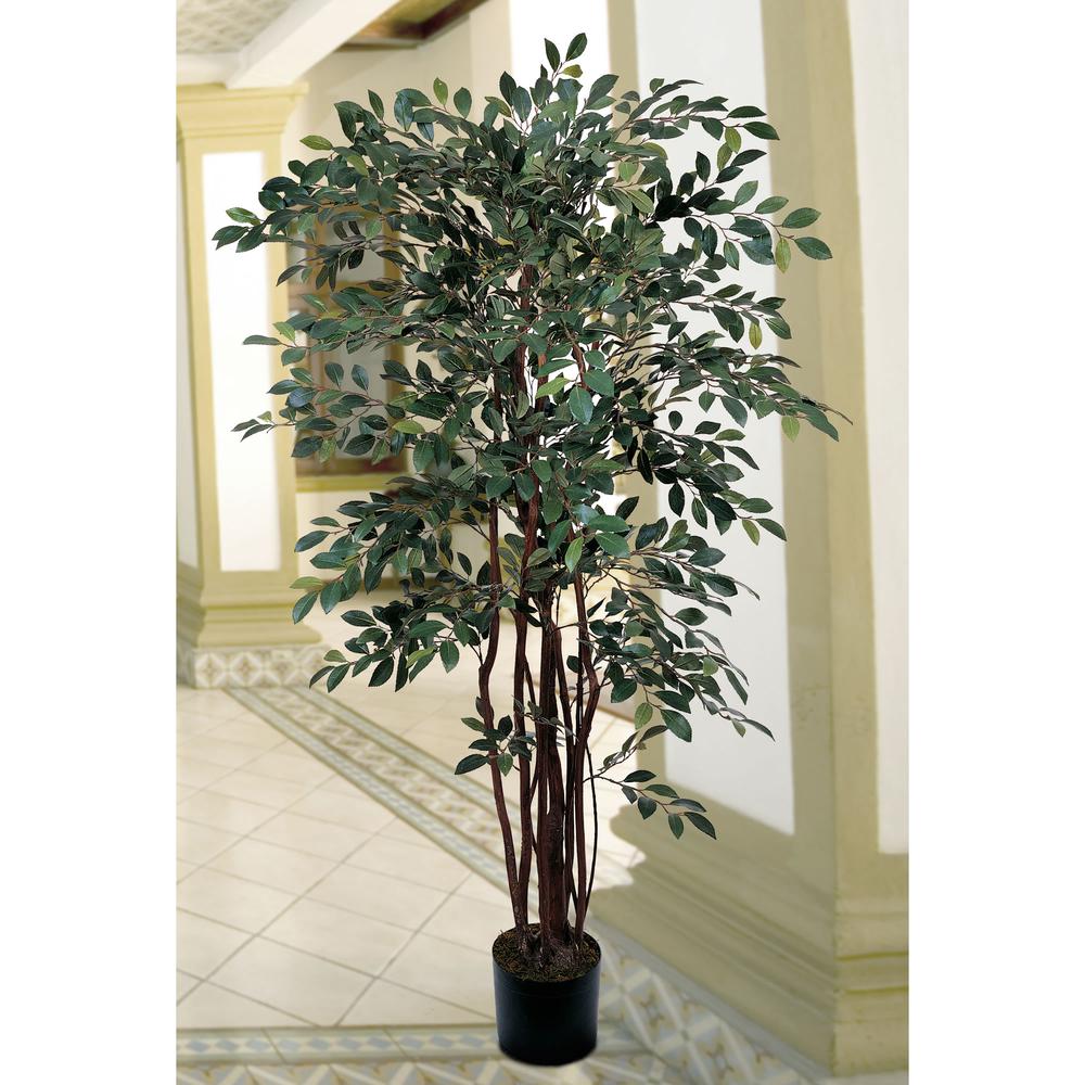 4ft. Ruscus Silk Tree. Picture 2