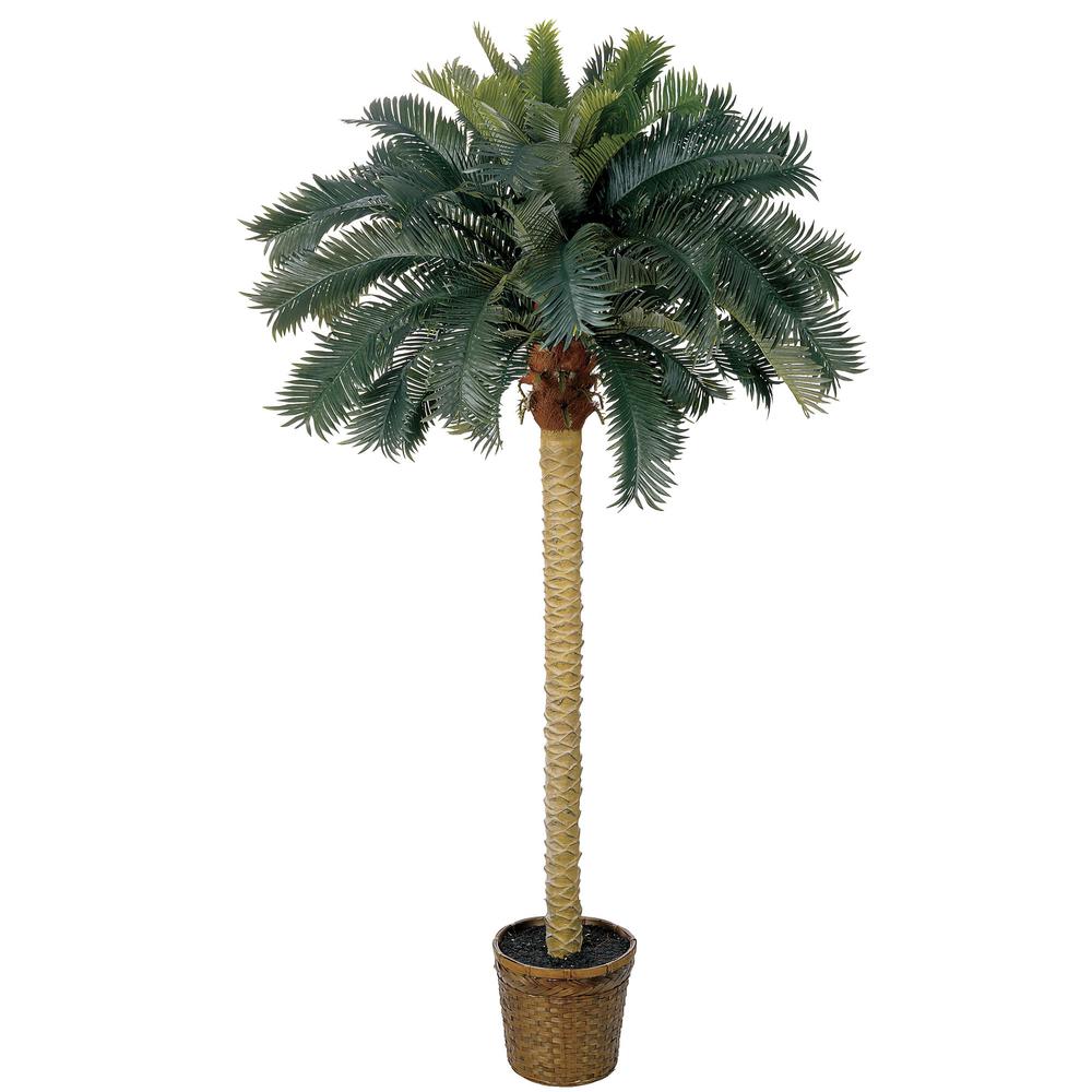 6ft. Sago Palm Silk Tree. Picture 1