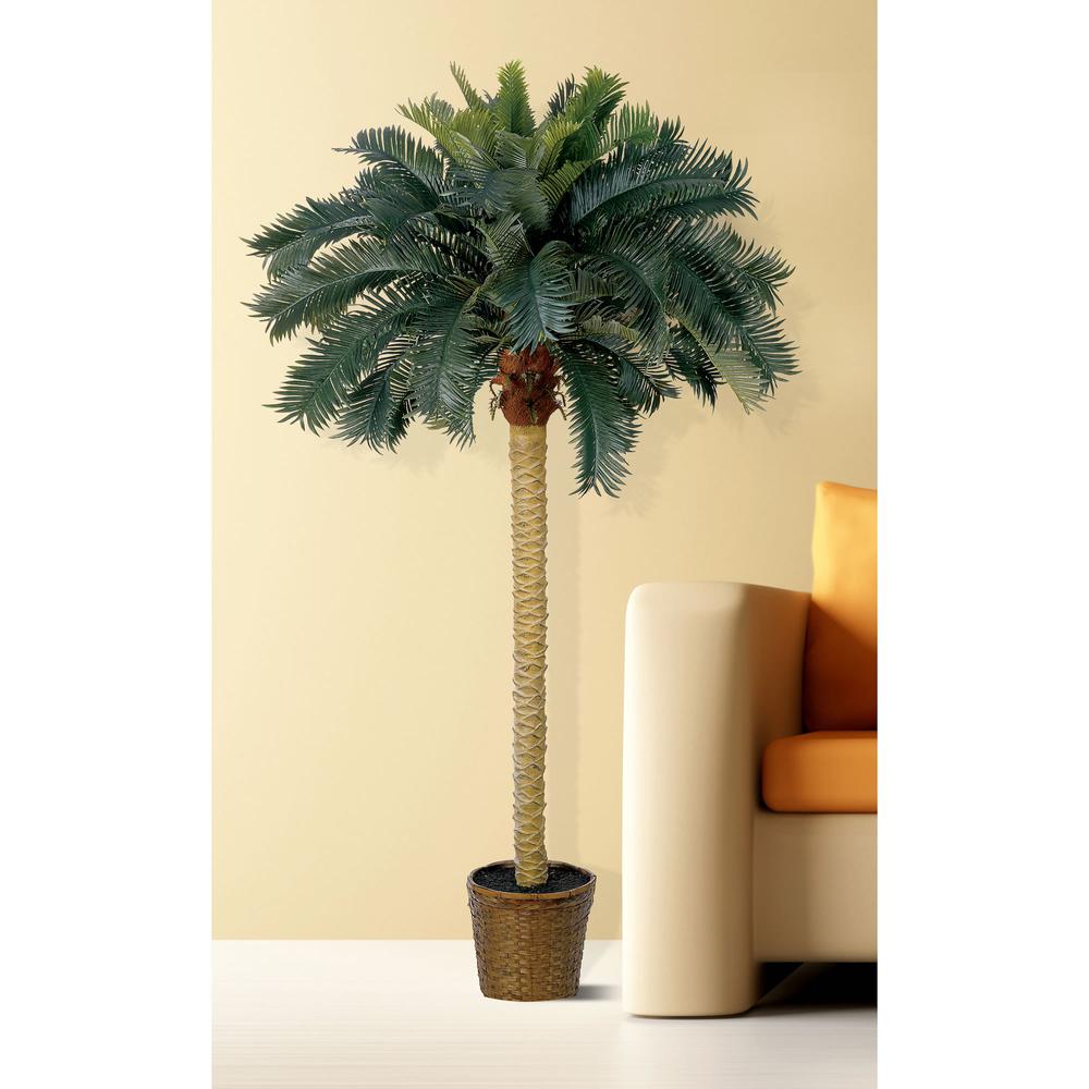 6ft. Sago Palm Silk Tree. Picture 3