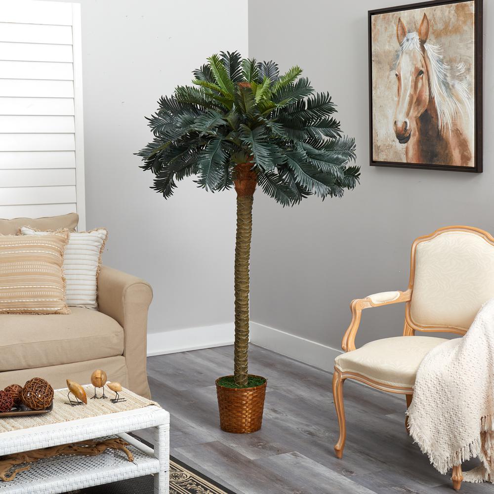 6ft. Sago Palm Silk Tree. Picture 2