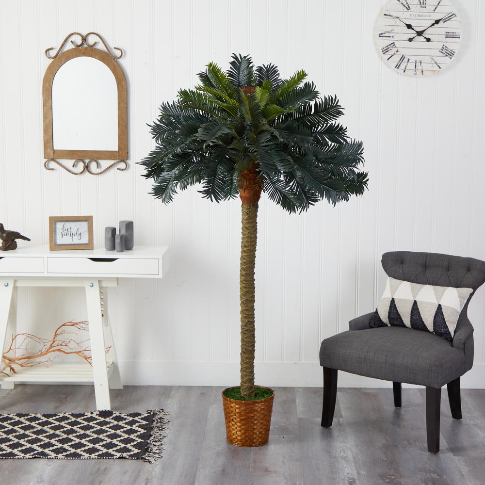 6ft. Sago Palm Silk Tree. Picture 4