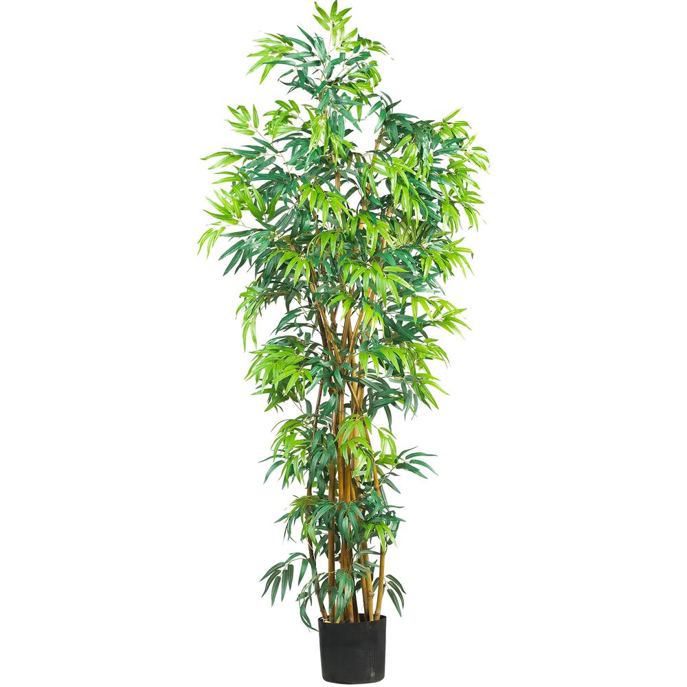 6' Fancy Style Bamboo Tree w/17,00 Lvs. Picture 1