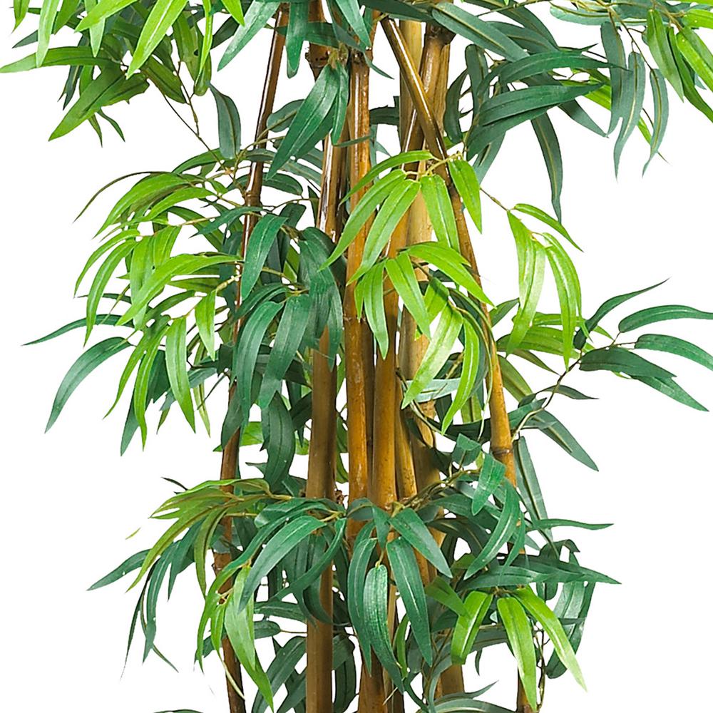 6' Fancy Style Bamboo Tree w/17,00 Lvs. Picture 2