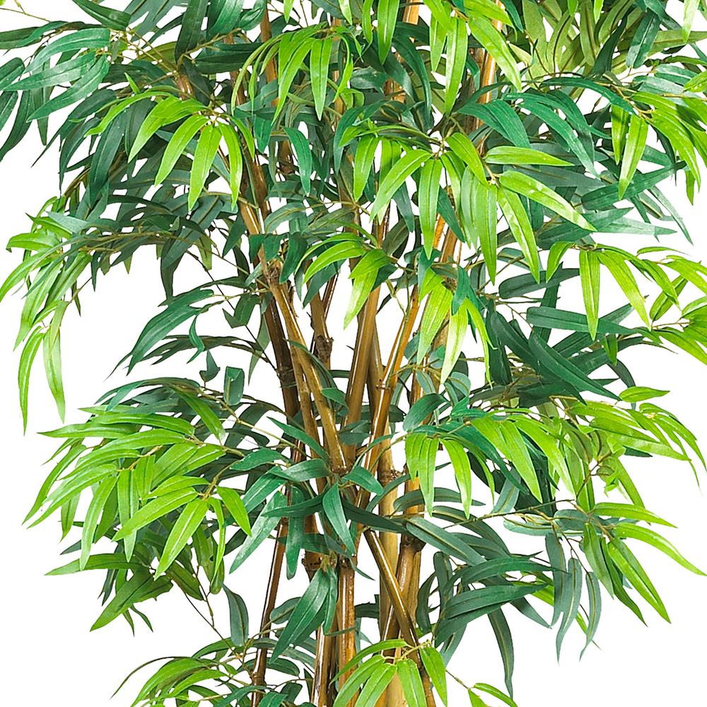 6' Fancy Style Bamboo Tree w/17,00 Lvs. Picture 3