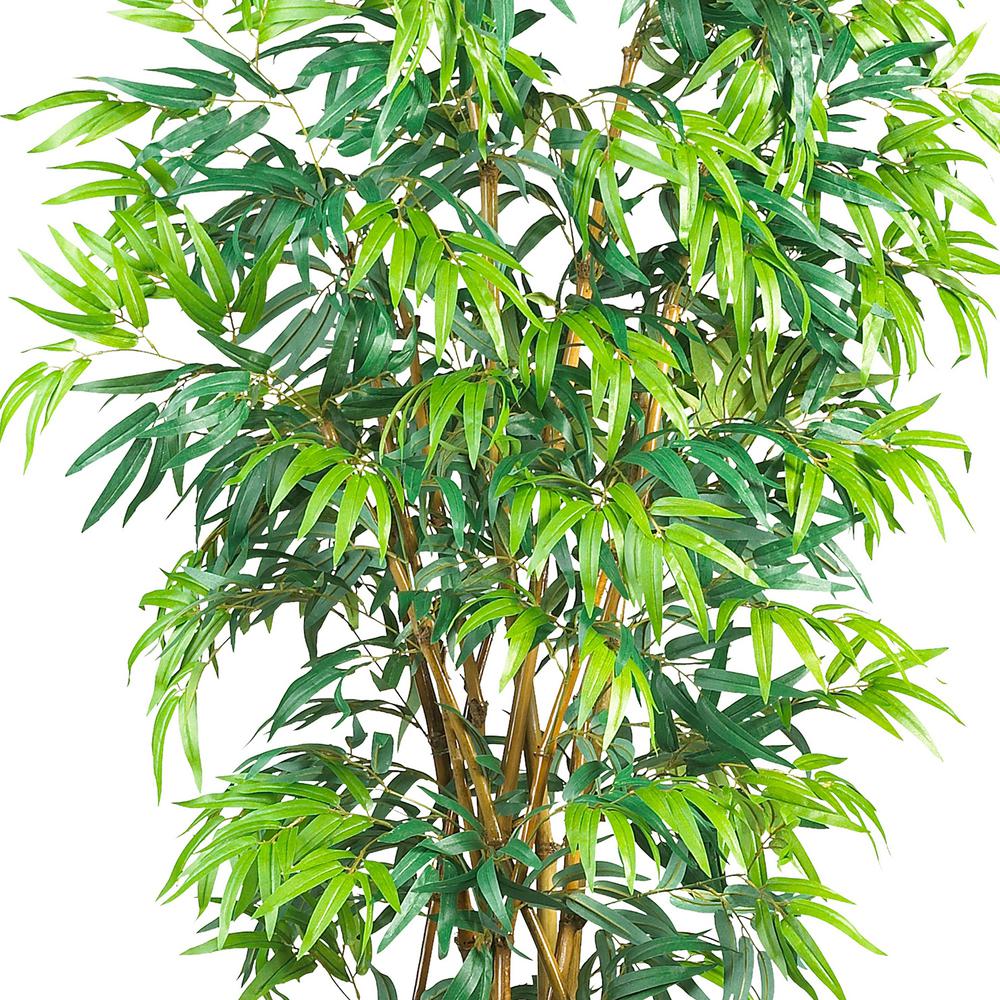 6' Fancy Style Bamboo Tree w/17,00 Lvs. Picture 4
