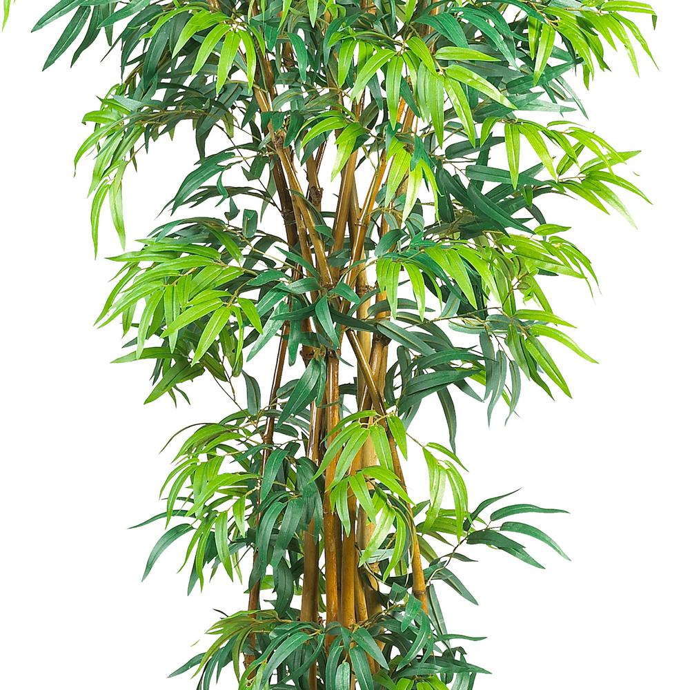 6' Fancy Style Bamboo Tree w/17,00 Lvs. Picture 5